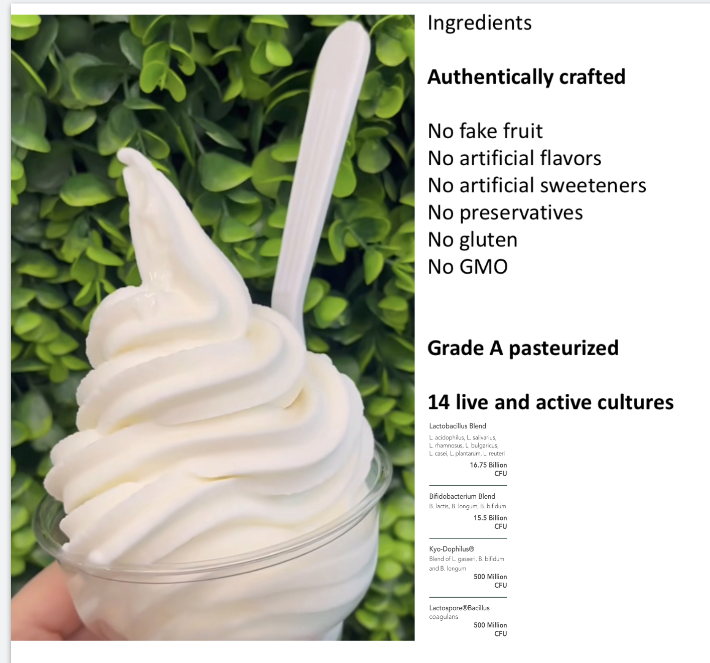 probiotic frozen yogurt